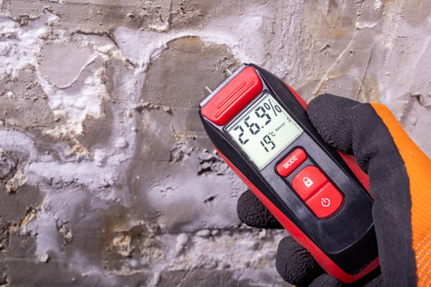 Best Professional Mold Removal  in Powell, AL